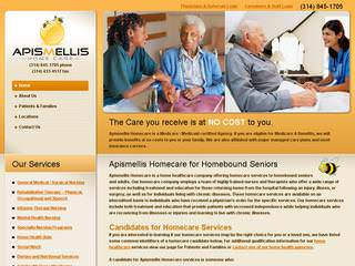 Heathcare Website Design