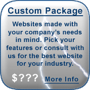 Custom Web Design Package