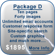Web Design Package D