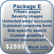 Web Design Package E