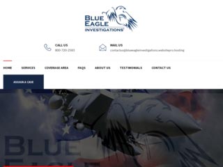 Private Investigator Website Design before Website Redesign