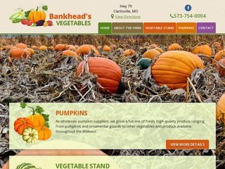 Agriculture Website Design