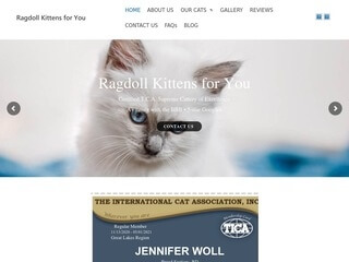 Pet Website Design Before Website Redesign