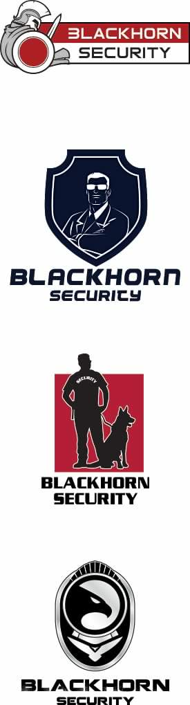Private Security Logo Design