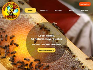 Local Business SEO & Website Design