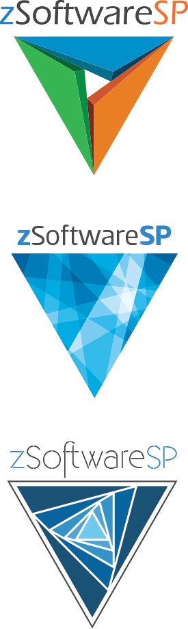 Software Company Logo Design